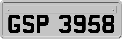 GSP3958