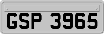 GSP3965