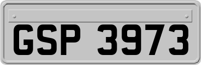 GSP3973