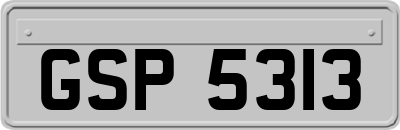 GSP5313