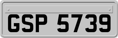 GSP5739