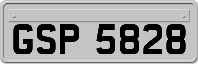 GSP5828