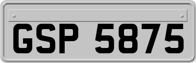 GSP5875