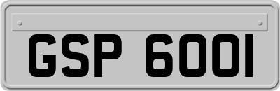 GSP6001