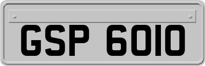 GSP6010