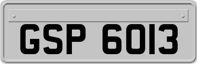GSP6013