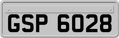 GSP6028