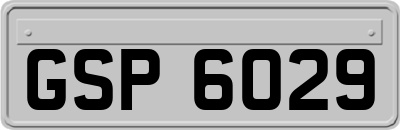 GSP6029