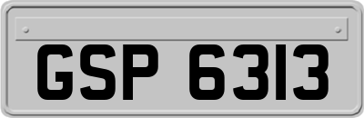 GSP6313