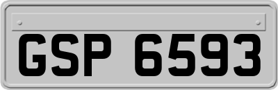 GSP6593