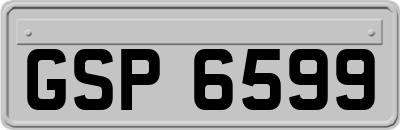 GSP6599