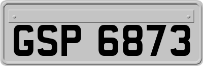 GSP6873