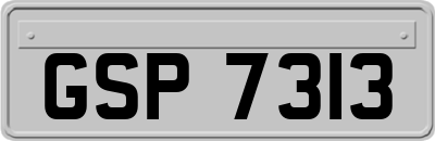 GSP7313