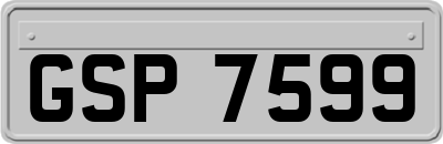 GSP7599