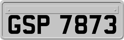 GSP7873