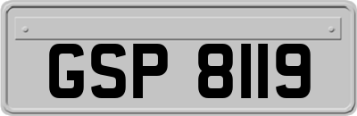 GSP8119