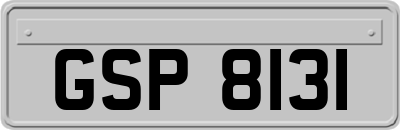 GSP8131