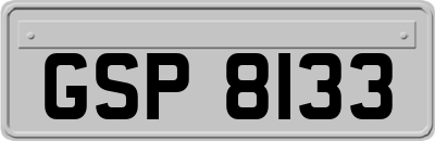 GSP8133