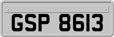 GSP8613