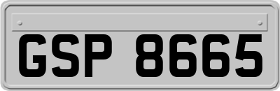 GSP8665