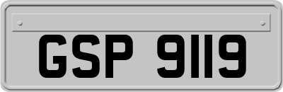 GSP9119
