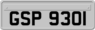 GSP9301