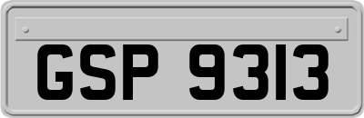 GSP9313