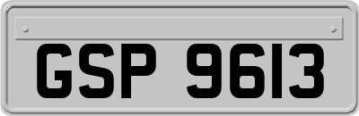 GSP9613