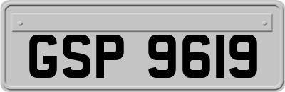 GSP9619