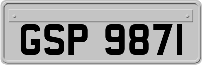 GSP9871