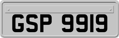 GSP9919