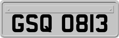 GSQ0813