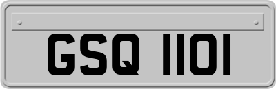 GSQ1101