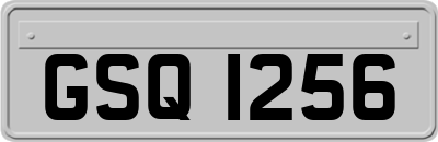 GSQ1256