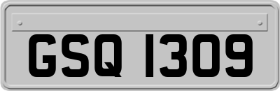 GSQ1309