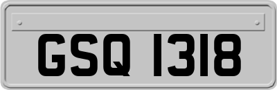 GSQ1318