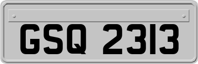 GSQ2313