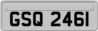 GSQ2461
