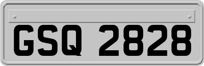 GSQ2828