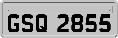 GSQ2855