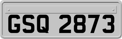 GSQ2873