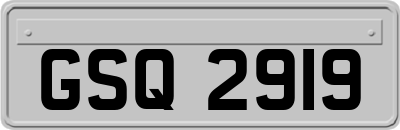 GSQ2919