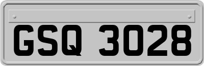 GSQ3028