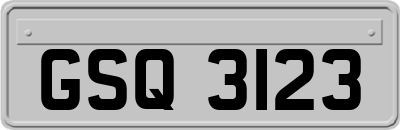 GSQ3123