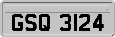 GSQ3124