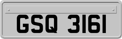 GSQ3161