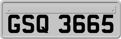 GSQ3665