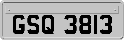 GSQ3813