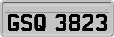 GSQ3823