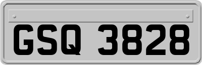 GSQ3828
